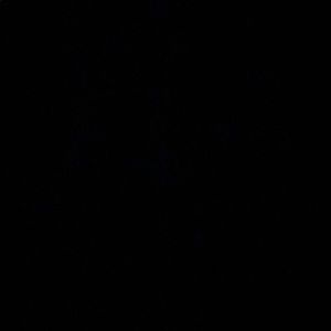 Meet your Posher, Carly